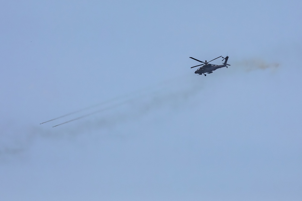 Combined Arms Live Fire Exercise (Pacific Fortitude)