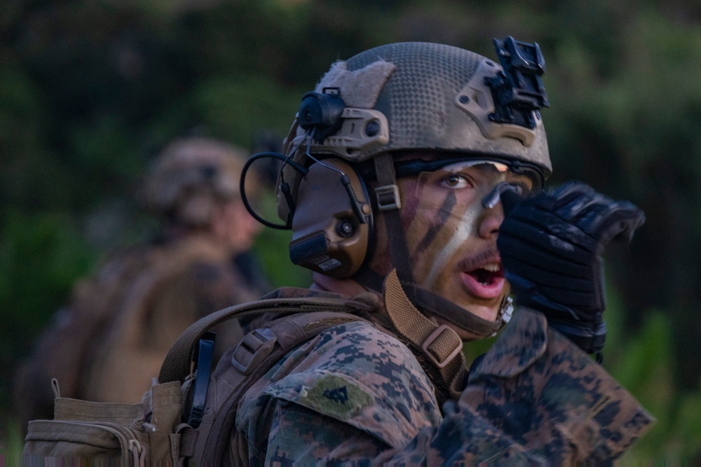 31st MEU conducts Mechanized Raid