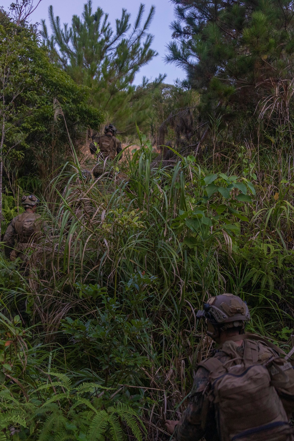 31st MEU conducts Mechanized Raid