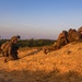 31st MEU conducts Mechanized Raid