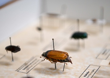 Combatting Critters: 52nd CES Entomology keeps Spangdahlem pest-free