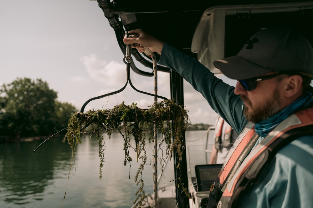 Annual Hydrilla Treatment in the Erie Canal