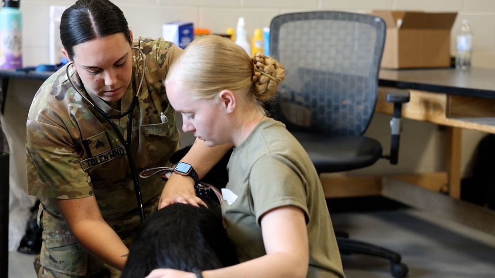 Reserve vets support Blackfeet Tribal Health Operation Walking Shield 2024