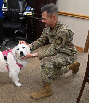 Air Force Radio News 27 August 2018 A