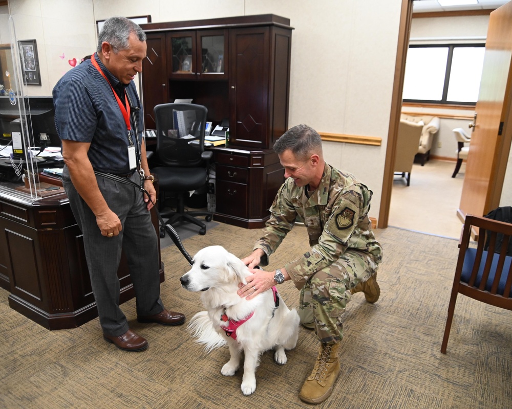 Maj. Gen. Larry Broadwell, 16th Air Force (AFCYBER) deputy commander, is introduced to 16th Air Force’s therapy dog “Bindi Lou.”