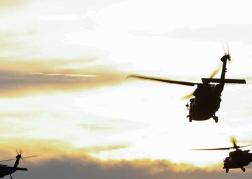 101st Airborne Division conducts historic air assault mission