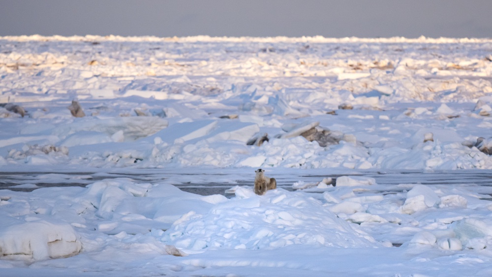 U.S. Coast Guard Cutter Healy underway in the Arctic