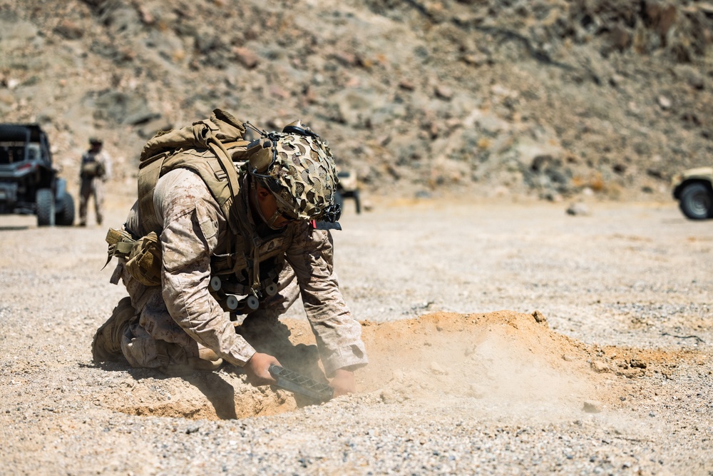 Marine Air-Ground Task Force Distributed Maneuver Exercise