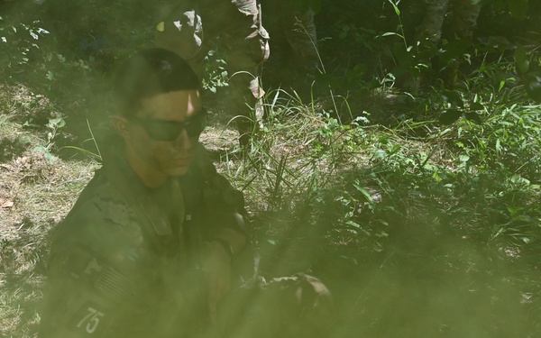 TRADOC Best Squad Competition
