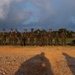 31st MEU maintains security for a FARP