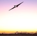 TU-2S Dragon Lady flies at dusk