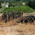 KMEP 24.2 | Bilateral Conventional Minefield Exchange KMEP 24.2 | Bilateral Conventional Minefield Exchange