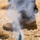 KMEP 24.2 | Bilateral Conventional Minefield Exchange KMEP 24.2 | Bilateral Conventional Minefield Exchange