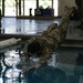 Intelligence Center of Excellence competes in TRADOC Best Squad Competition 2024