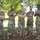 TRADOC Best Squad Competition 2024 TRADOC Best Squad Competition 2024