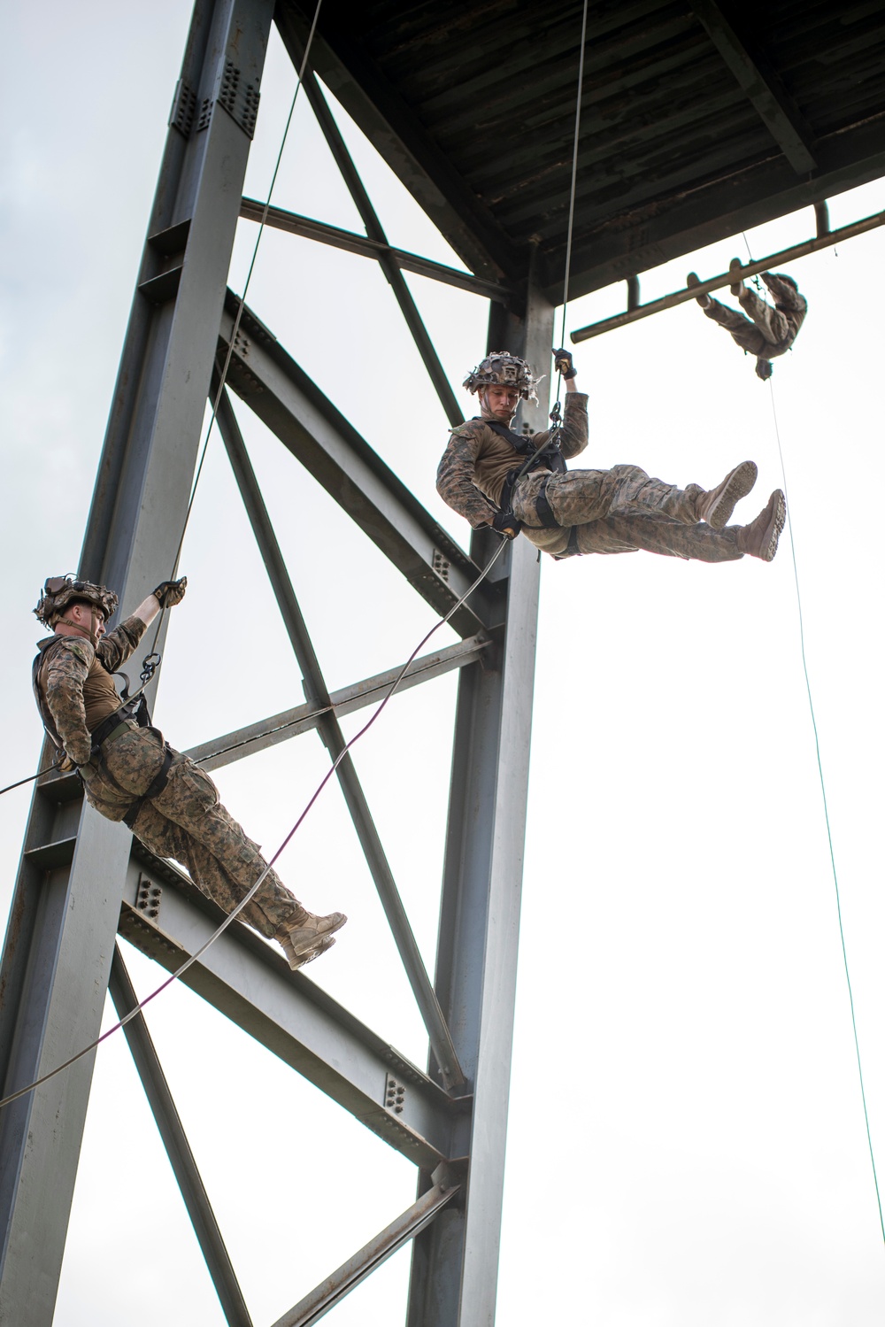 ROK Marines, 15th MEU Conduct Advanced Mountain Warfare Training