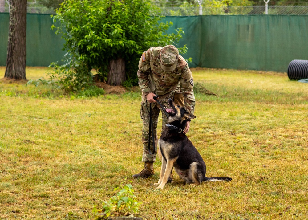 Combined Military Working Dog Detachment - Europe Certifications