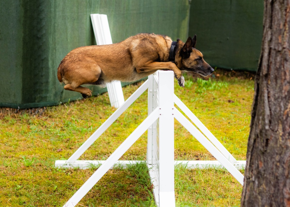 Combined Military Working Dog Detachment - Europe Certifications