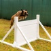 Combined Military Working Dog Detachment - Europe Certifications