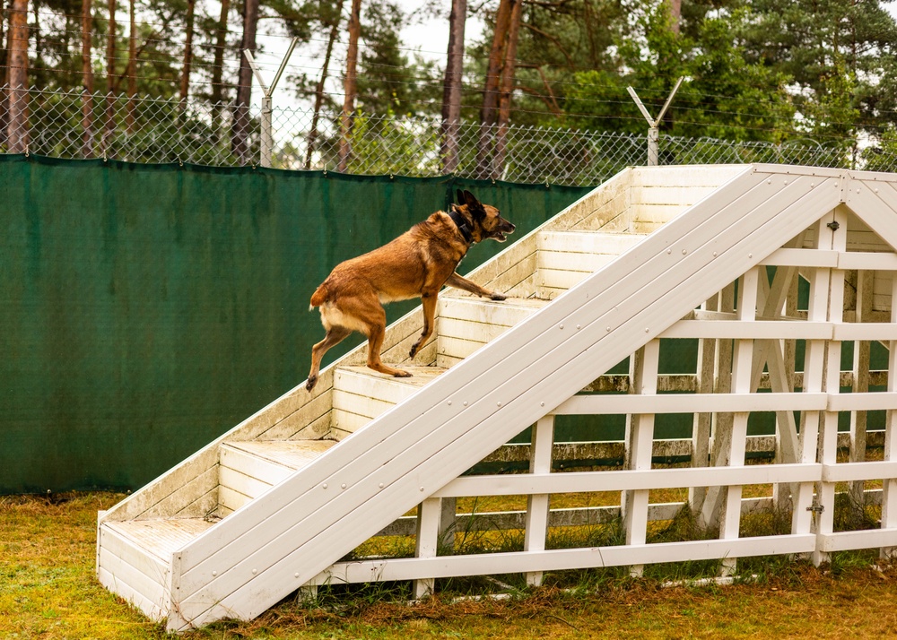 Combined Military Working Dog Detachment - Europe Certifications