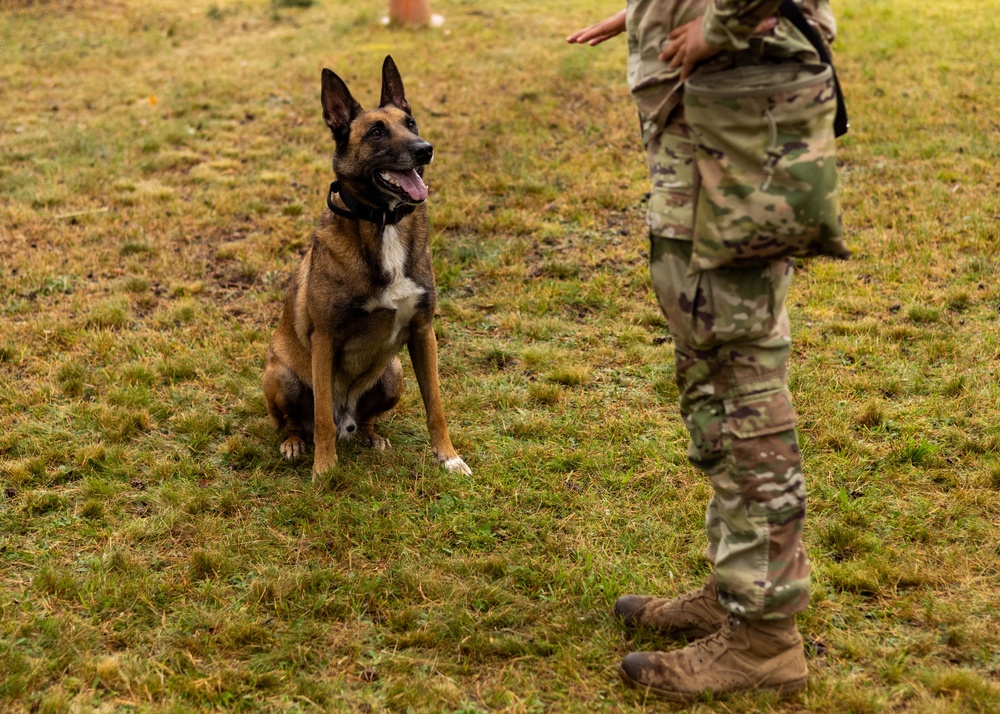 Combined Military Working Dog Detachment - Europe Certifications