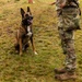 Combined Military Working Dog Detachment - Europe Certifications