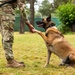 Combined Military Working Dog Detachment - Europe Certifications