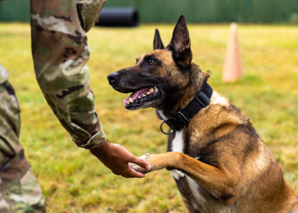 Combined Military Working Dog Detachment - Europe Certifications