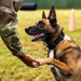Combined Military Working Dog Detachment - Europe Certifications