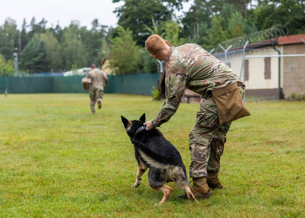 Combined Military Working Dog Detachment - Europe Certifications