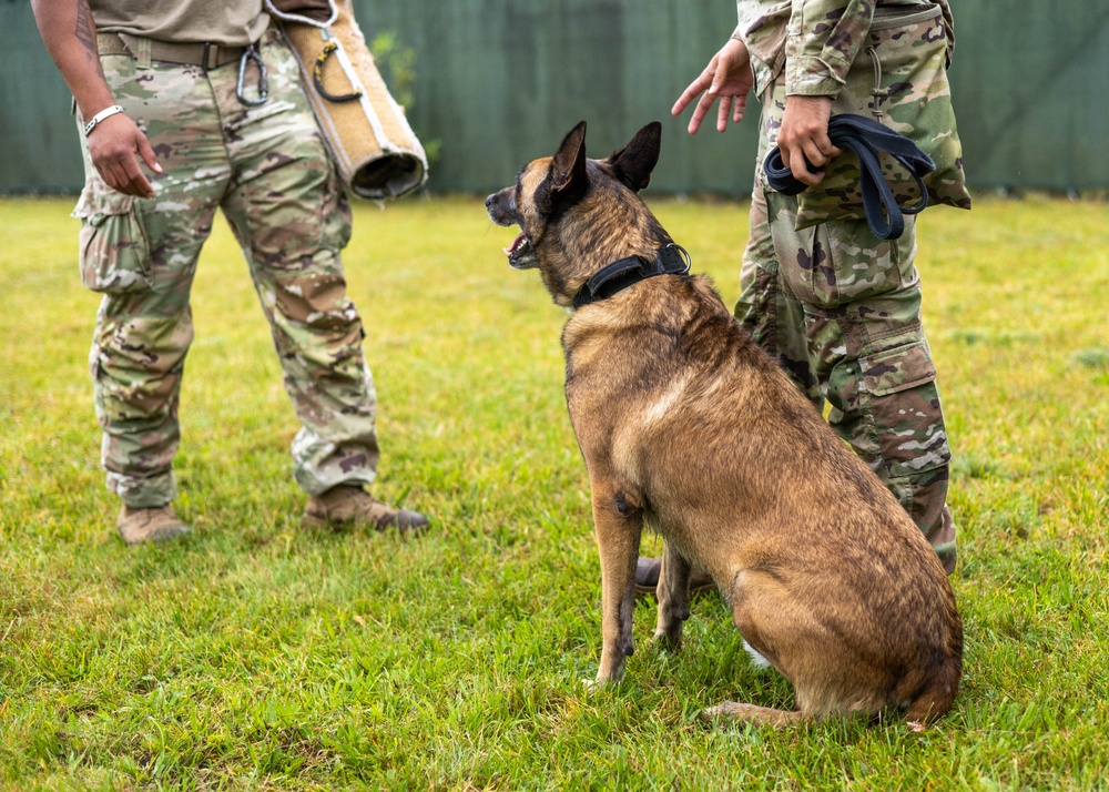 Combined Military Working Dog Detachment - Europe Certifications