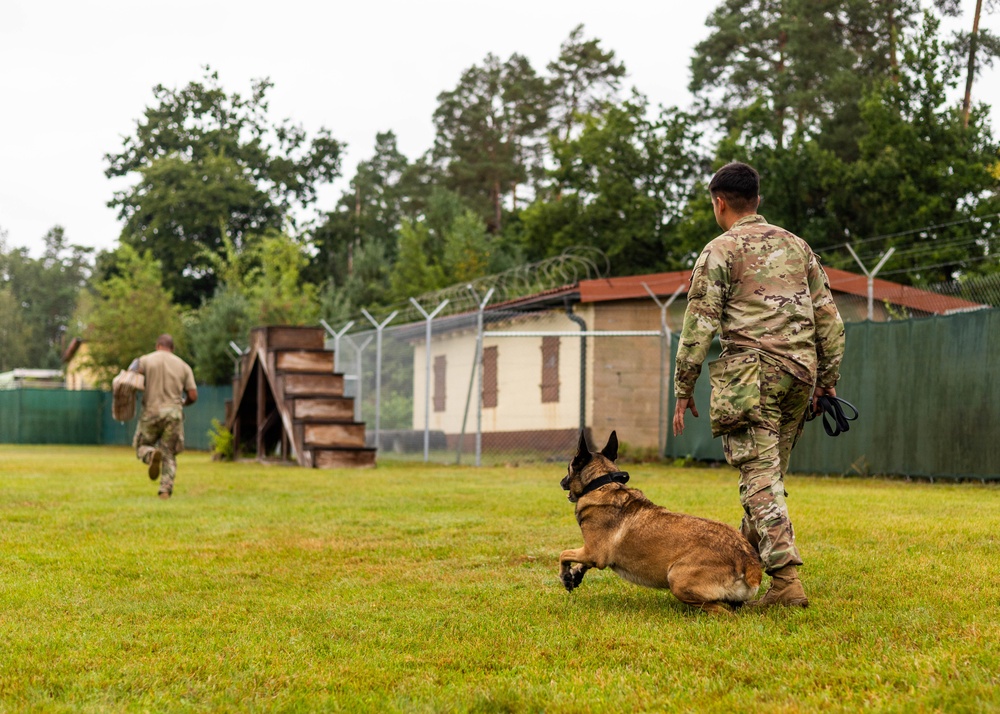 Combined Military Working Dog Detachment - Europe Certifications
