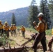 Soldiers Augment Wildland Firefighting Effort