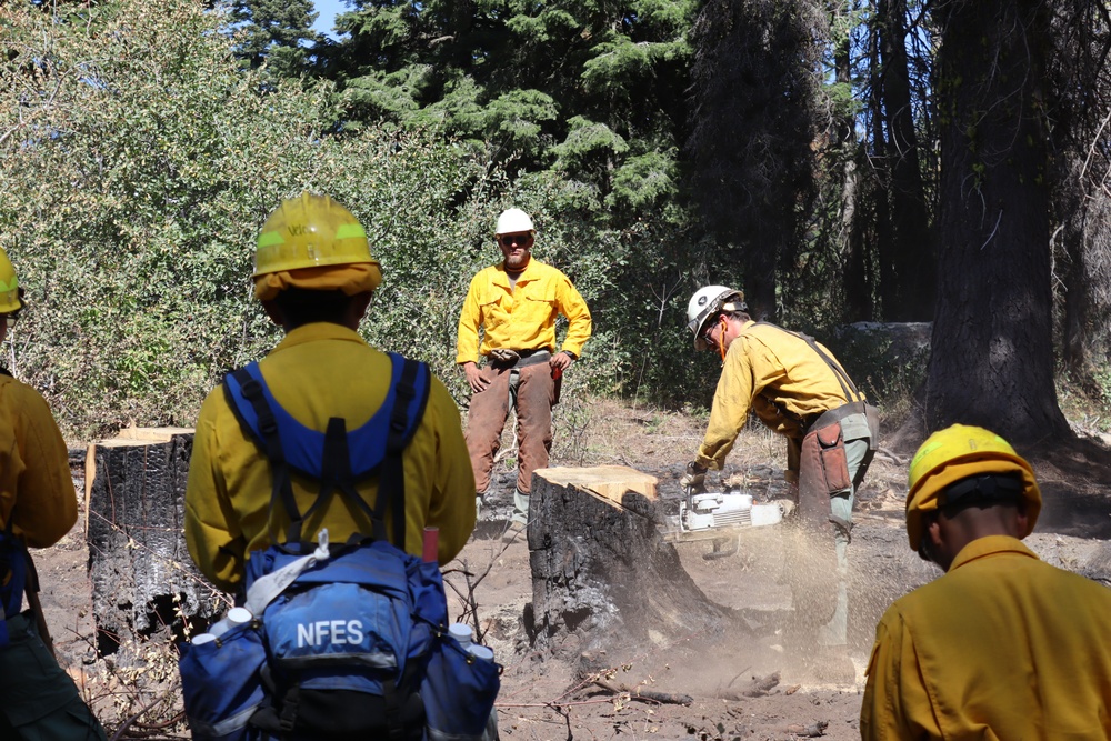 Soldiers Augment Wildland Firefighting Effort