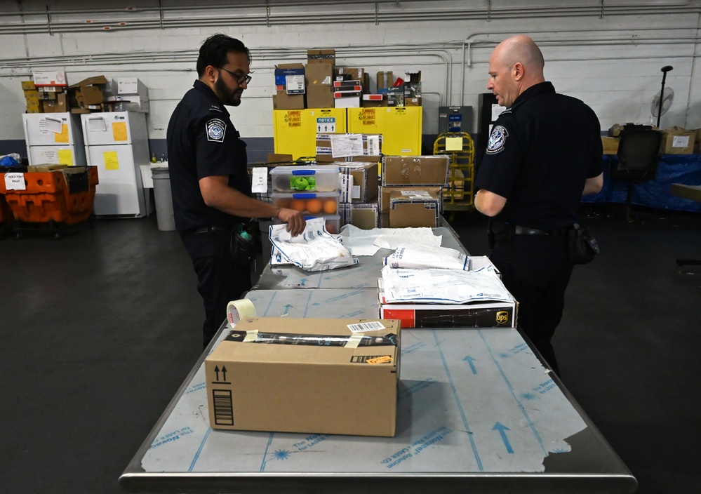 CBP K9 Handlers search for counterfeit pharmaceuticals at JFK