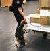 CBP K9 Handlers search for counterfeit pharmaceuticals at JFK