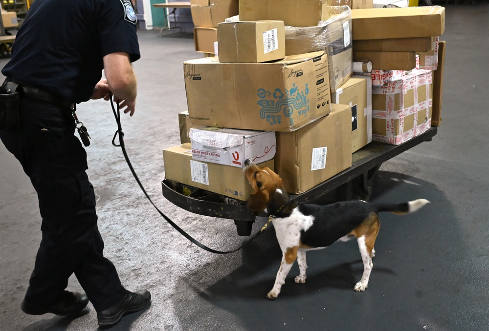 CBP K9 Handlers search for counterfeit pharmaceuticals at JFK