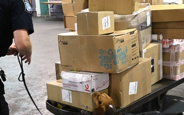 CBP K9 Handlers search for counterfeit pharmaceuticals at JFK