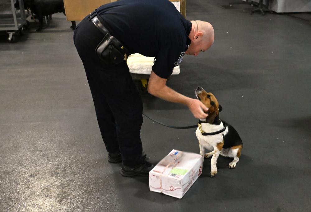 CBP K9 Handlers search for counterfeit pharmaceuticals at JFK