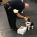 CBP K9 Handlers search for counterfeit pharmaceuticals at JFK