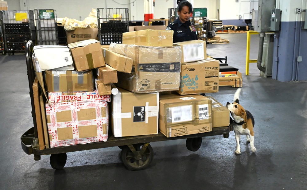 CBP K9 Handlers search for counterfeit pharmaceuticals at JFK