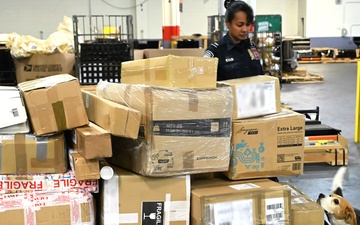 CBP K9 Handlers search for counterfeit pharmaceuticals at JFK