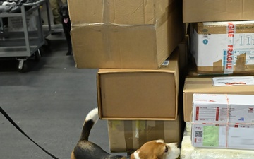 CBP K9 Handlers search for counterfeit pharmaceuticals at JFK