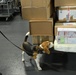 CBP K9 Handlers search for counterfeit pharmaceuticals at JFK