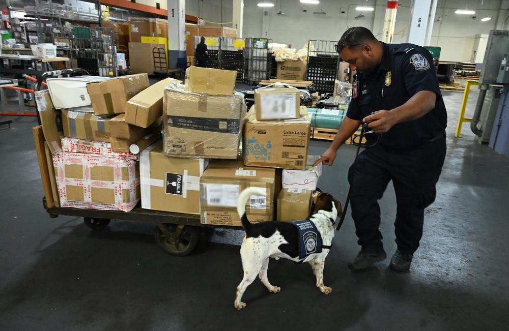 CBP K9 Handlers search for counterfeit pharmaceuticals at JFK