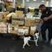 CBP K9 Handlers search for counterfeit pharmaceuticals at JFK