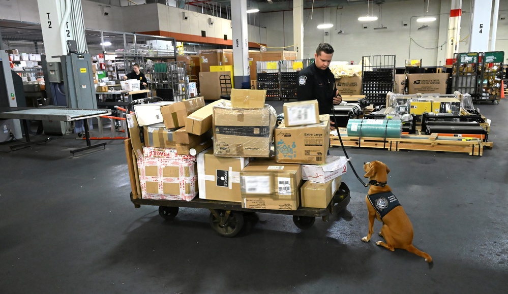 CBP K9 Handlers search for counterfeit pharmaceuticals at JFK