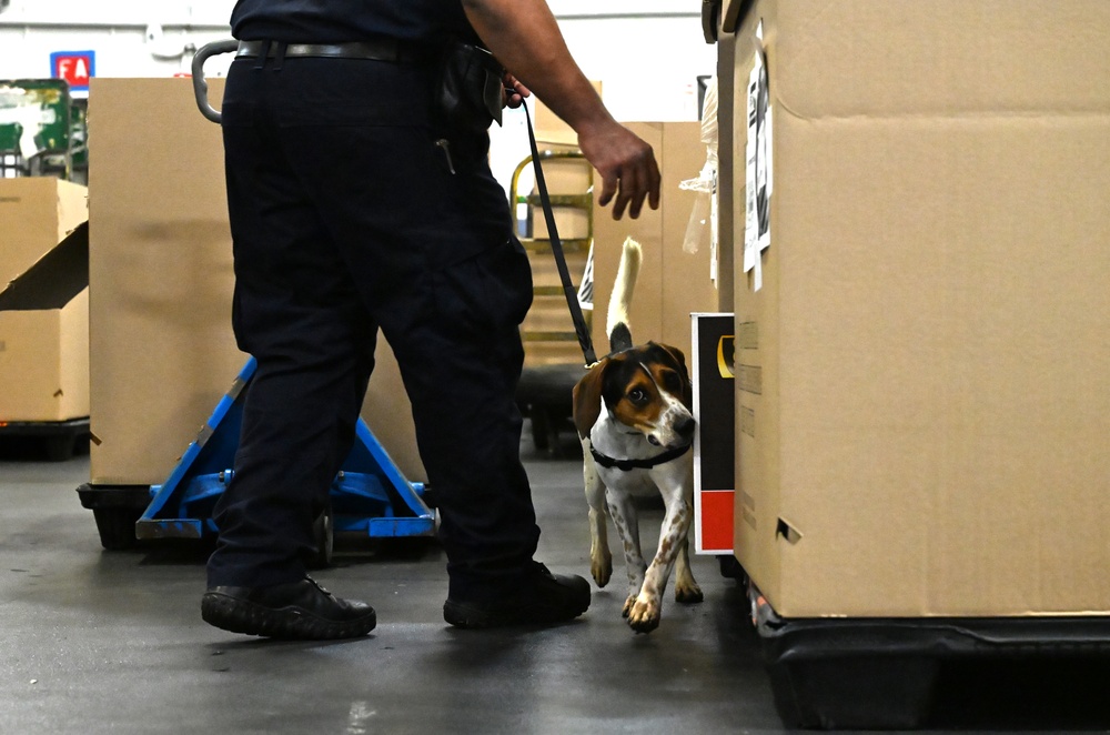 CBP K9 Handlers search for counterfeit pharmaceuticals at JFK