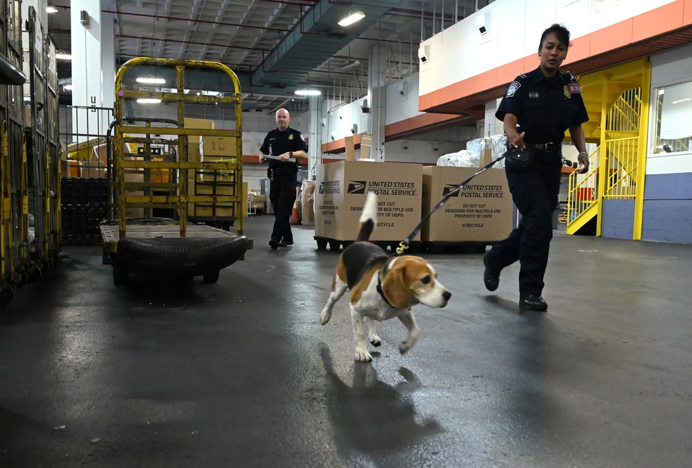 CBP K9 Handlers search for counterfeit pharmaceuticals at JFK