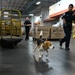 CBP K9 Handlers search for counterfeit pharmaceuticals at JFK